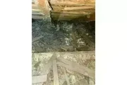 PEST CONTROL thumbnail