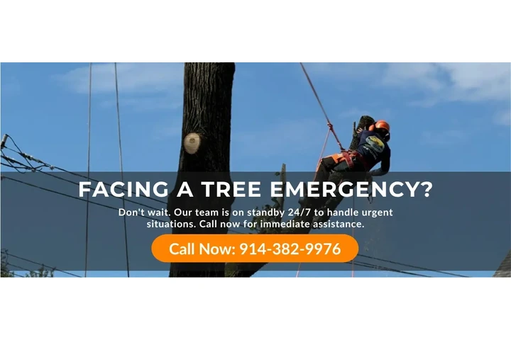 Drainage Solutions in Cortland image 1