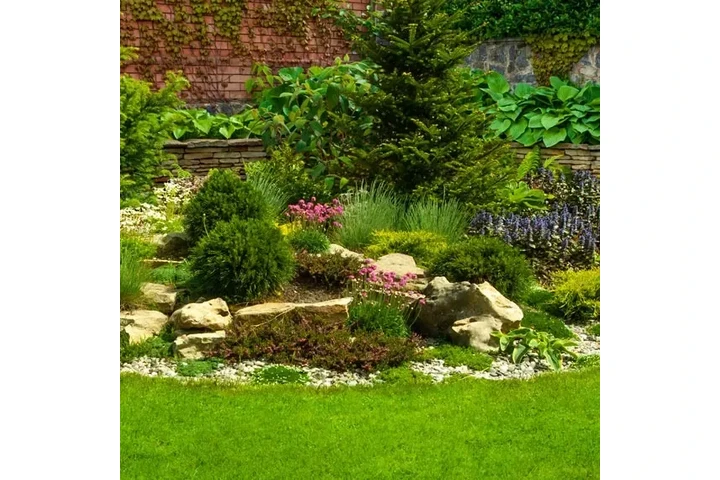 Professional Tree & Lawn Care image 4