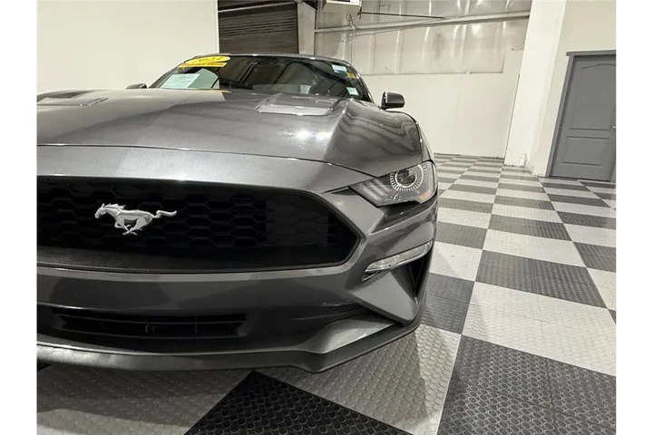 $24099 : Mustang 2023 image 9