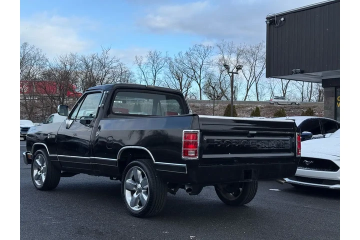 $11998 : 1989 D100 & W100 image 10