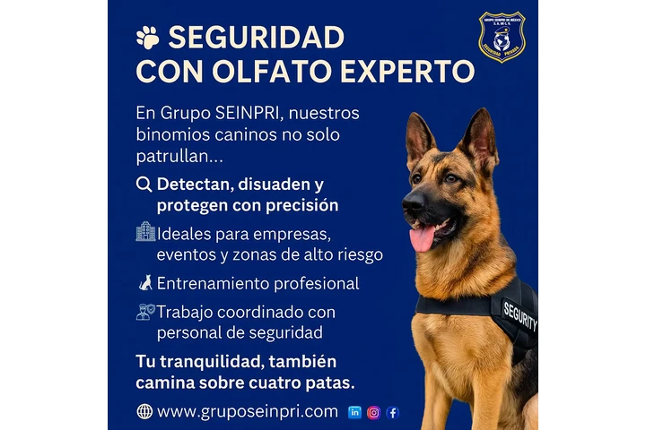 Grupo Seinpri Seguridad Privad image 2