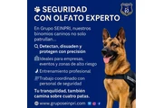 Grupo Seinpri Seguridad Privad thumbnail