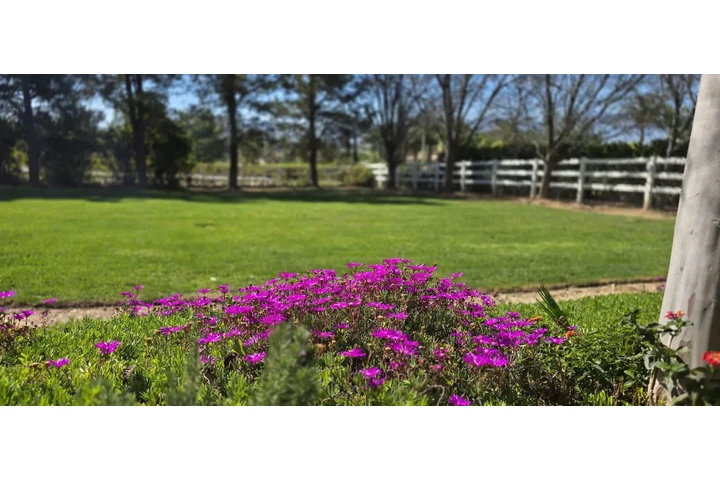 Mantenimiento de propiedades image 1