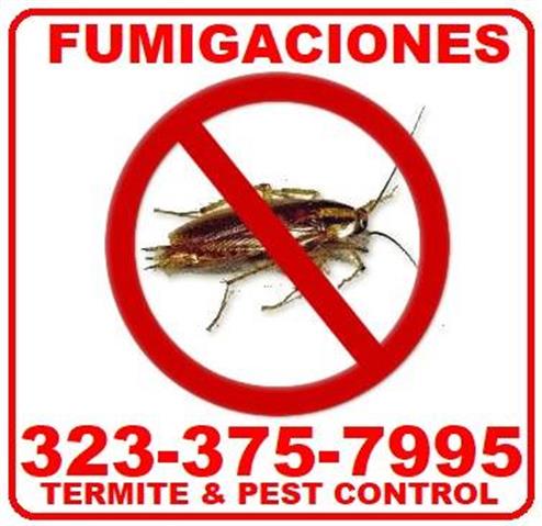 FUMIGACION PLAGA DE CUCARACHAS image 1