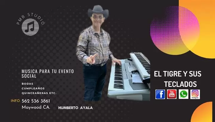 🎵El tigre y sus teclados 🎶LA image 1