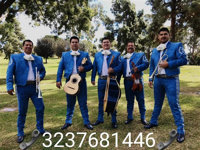 Mariachi real tapatio 1 image 3