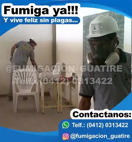 fumigacion caracas guarenas image 8