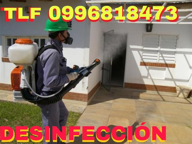 FUMIGACIONES Y DESRATIZACIONES image 3