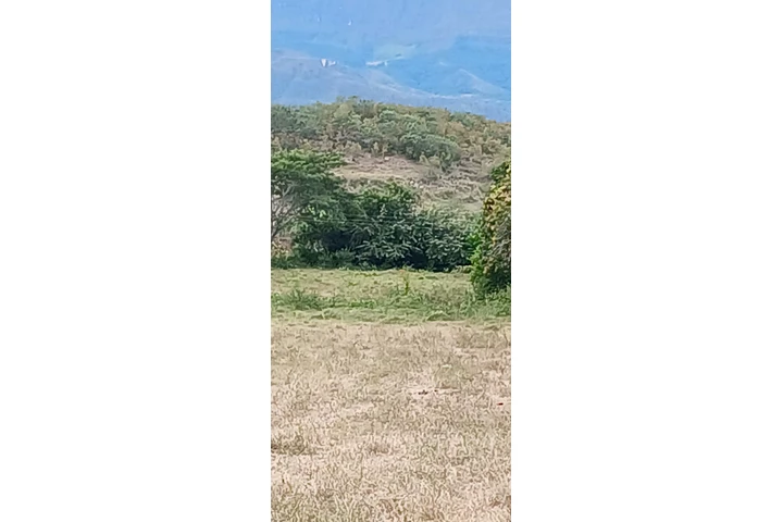 $32000000 : Terrenos campestre image 2