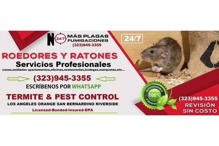 FUMIGATION LOS ANGELES.-  24/7 image 5