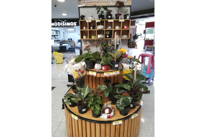 ¡Oportunidad única de negocio image 3