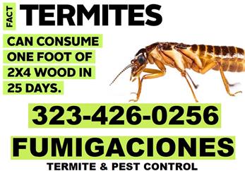 Home Inspector-Termite 24/7. image 3