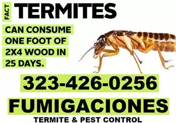 Home Inspector-Termite 24/7. image 3