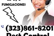 FUMIGACIONES 100% GARANTIZADOS en Orange County