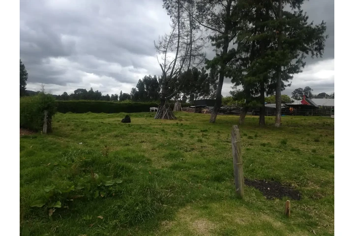 $3440000000 : VENDO LOTE  para VIVIENDA en A image 4