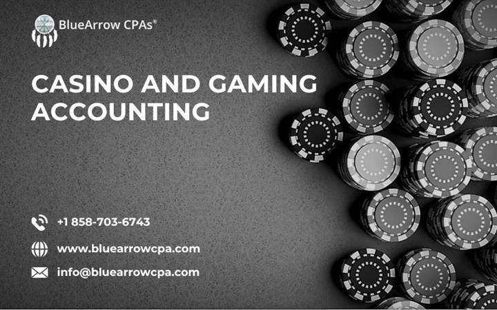 Casino and Gaming Accounting image 1