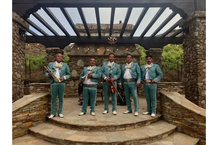 Mariachi Los Potrillos image 1