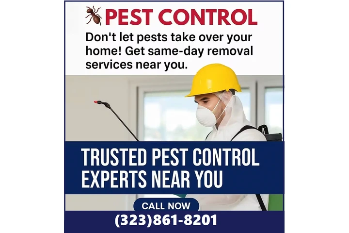 🕸FUMIGACIONES RESIDENCIALES🕷 image 1