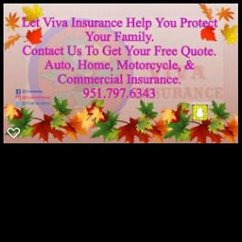 Viva Insurance & Tax Services image 1
