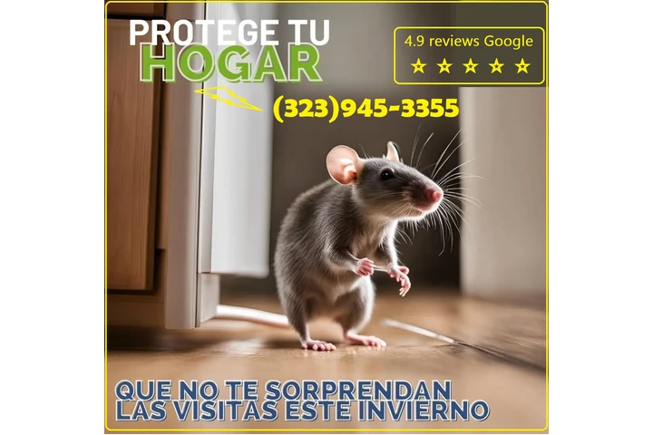 Pest Control Services 24/7.L.A image 2