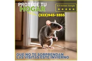 Pest Control Services 24/7.L.A thumbnail