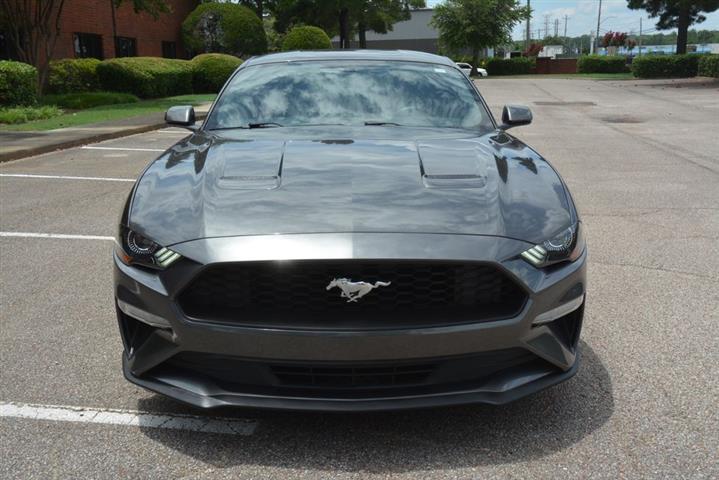 2018 Mustang EcoBoost image 3