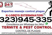 PEST CONTROL 24/7 EXTERMINATOR thumbnail