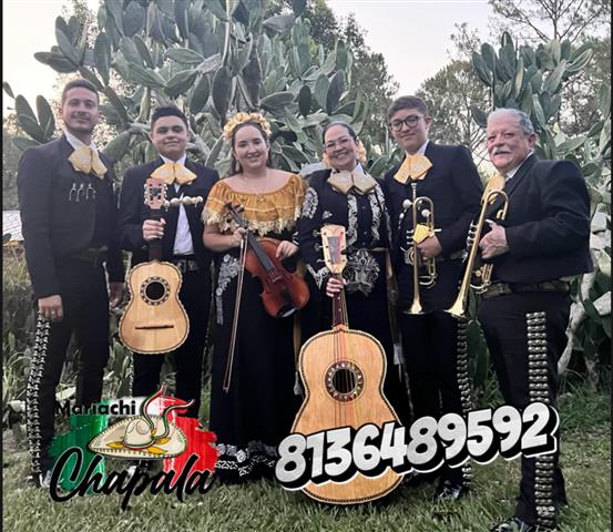 Mariachis en Tampa image 2