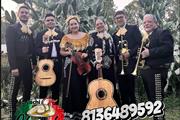 Mariachis en Tampa thumbnail