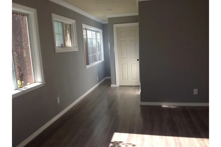 Pintor de casas 🏠 image 2