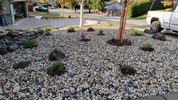 RESIDENTIAL LANDSCAPING image 3