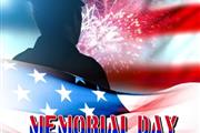 Memorial Day Exterminator 24/7 thumbnail