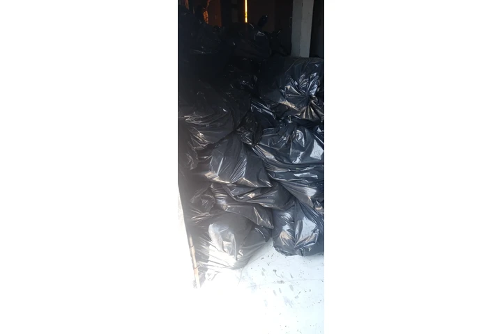 Se recoge basura image 3