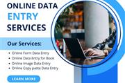 Online Data Entry