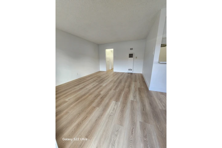 Piso LVP image 2