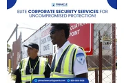Event Security Company thumbnail