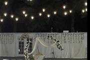 Gigi_partydecor thumbnail 3