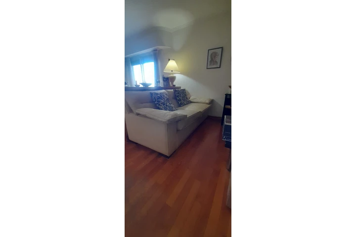 $300000 : Sofa Living dos cuerpos image 2