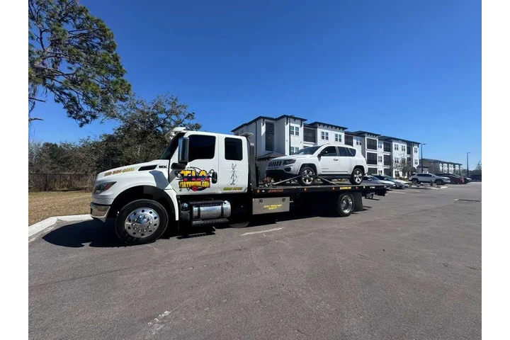 GRUAS TIATOWING image 6