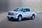 $19617 : 2009 F-150 Platinum thumbnail