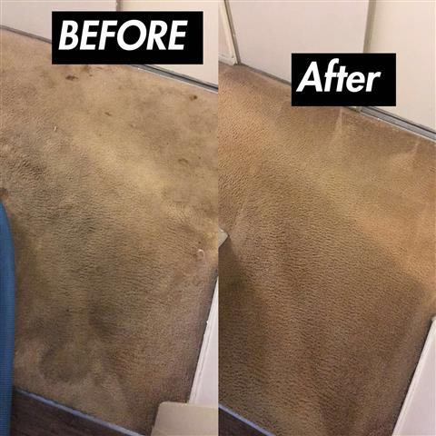 RELIABLE CARPET CLEANING image 2