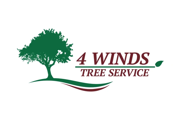 4 Winds Tree Service image 1