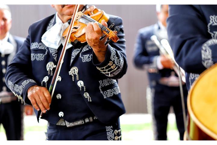 Mariachi Azteca De Oro image 8