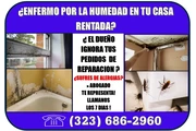 ENFERMO? POR PROBLEMA HUMEDAD?