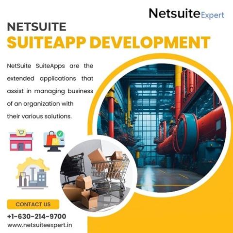 SuiteApp Development image 1