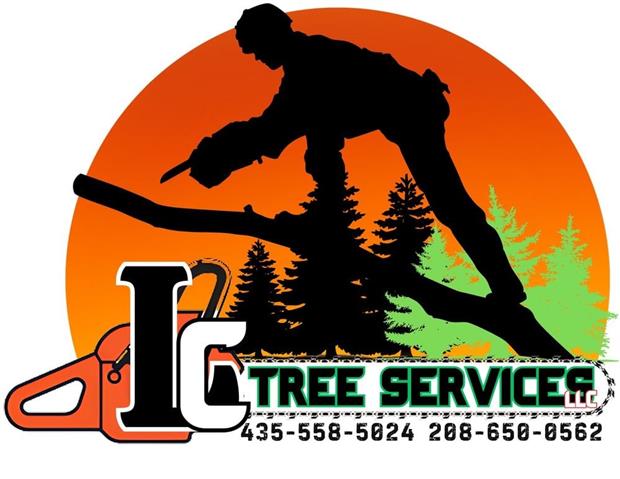 Servicio de Tree service image 1