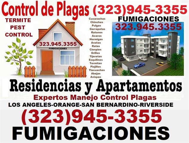 👉PLAGAS EN TU HOGAR O NEGOCIO image 3