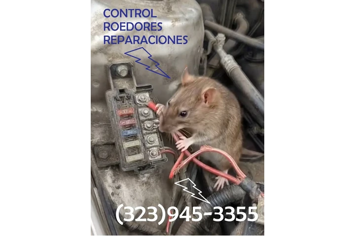 " TERMITE & PEST CONTROL.L.A." image 6