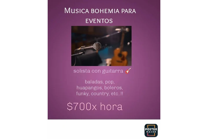 Música bohemia para eventos image 1
